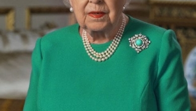 Photo of Regina Elisabeta și semnificația hainelor alese pentru discursul memorabil tv