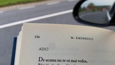 Photo of Ce înseamnă  cuvântul ADIO