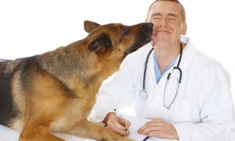 Photo of Ziua Medicului Veterinar