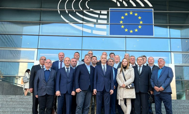 Photo of Liberalii argeșeni în vizită la Bruxelles