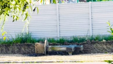 Photo of Poza zilei vine de la Ștefanesti: cruce hrisov din secolul XVIII aruncată în șanț
