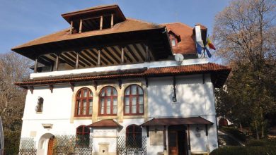 Photo of GHICI CINE CONDUCE DE AZI VILA FLORICA?