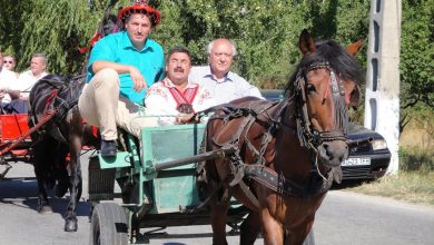 Photo of DUMINICĂ-CEA MAI MARE PETRECERE A ARGEȘULUI DE SUD