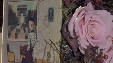 Photo of FLORĂRIA CARE TE AJUTĂ SĂ ÎNCEPI UN NOU AN ȘCOLAR FRUMOS
