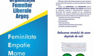 Photo of CAMPANIE DE SUCCES A ORGANIZAȚIEI DE FEMEI PNL ARGEȘ