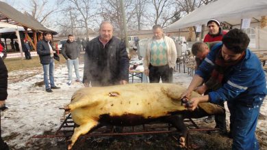 Photo of ”AL MEU E PORCUL CEL MAI GRAS!”-CONCURS DE FRUMUSEȚE DE IGNAT