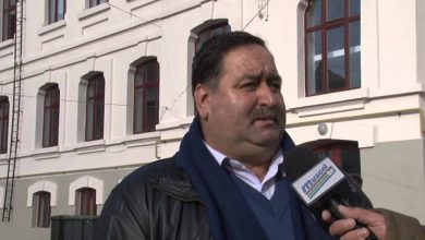 Photo of FOLOGEA NE INVITĂ SĂ-I ATINGEM FILELE