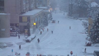 Photo of CINE SUNT CEI MAI RESPECTABILI,RESPECTUOȘI ȘI HARNICI ANGAJAȚI AI PITEȘTIULUI