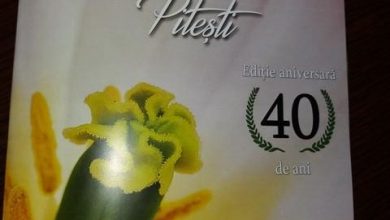 Photo of DETALII ȘOCANTE ȘI PICANTE!CE NU S-A SPUS DESPRE SIMFONIA LALELELOR