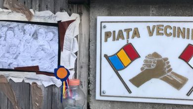 Photo of PETRECEREA VECINILOR LA BASCOV