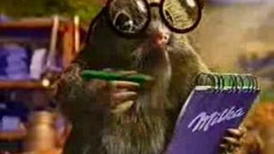 Photo of AFLĂ CE DIRECTOR DIN ARGEȘ ȘI-A DAT DOCTORATUL ÎN MARMOTE
