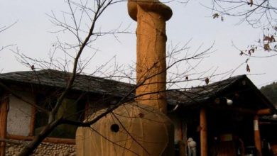 Photo of DREPT LA REPLICĂ:IONICĂ NU O ARE MICĂ!